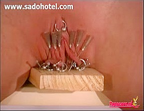 Villein cum-hole nailed on wood with needles and nails 
