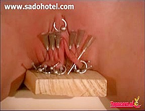 Villein cum-hole nailed on wood with needles and nails 