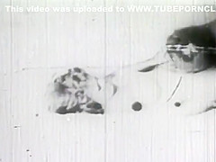 Vintage Black And White Couple Fucking Nice