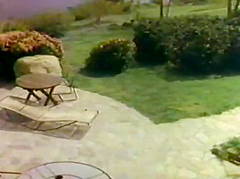 Vintage Clip 001