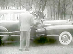 Vintage - Walk in the park
