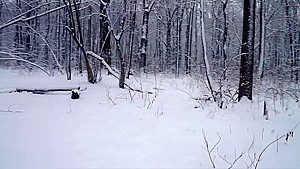White stockings wet in snow - Happy New Year from Jeny Smith