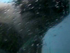 Wild Amateur, , Clip