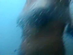 Wild Amateur, , Clip