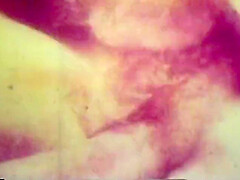 Wild Entry 10 (full Movie)