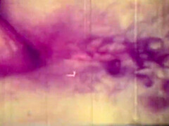 Wild Entry 10 (full Movie)