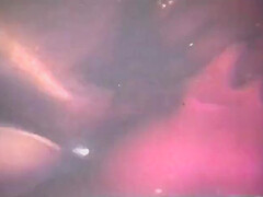 Wild Entry 10 (full Movie)