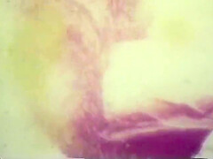 Wild Entry 10 (full Movie)