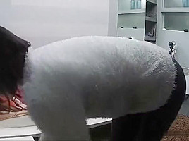 clara molly 4some