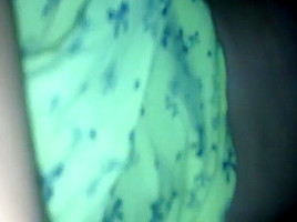 my bbw wife