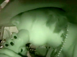 real amateur teen 18+ sex orgy pt 2