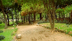 rick vilma 69 from chaturbate outdoor public blowjob