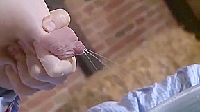 teen 18+ Milking herself