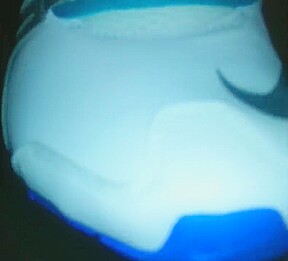 worship her nike shox